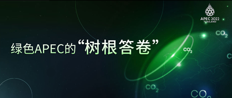 绿色领航，中国担当！天美娱乐亮相APEC峰会