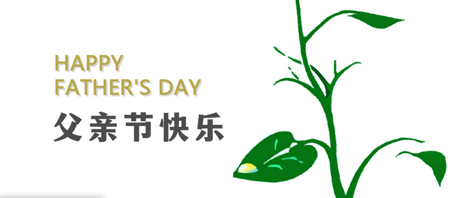 父爱无言，感恩相伴